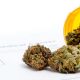 Police May Be Violating Medical Marijuana Patients Privacy Rights in Las Vegas