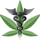 MMJ Cardholders Cannot Own Firearms