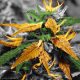 Law Enforcement Busting Medical Marijuana Delivery Services
